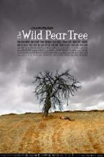 Watch The Wild Pear Tree 123movies