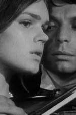 Watch Pavoncello 123movies