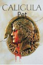 Watch Caligula's Pet 123movies