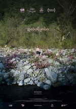 Watch Beginning 123movies