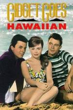 Watch Gidget Goes Hawaiian 123movies