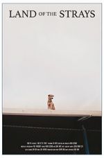 Watch Land of the Strays (Short 2018) 123movies