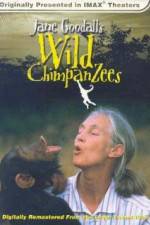 Watch Jane Goodall's Wild Chimpanzees 123movies