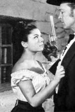 Watch The Savage Gun 123movies