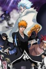 Watch Bleach: The Diamond Dust Rebellion 123movies