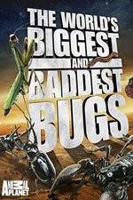 Watch Worlds Biggest and Baddest Bugs 123movies