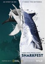 Watch Man vs. Shark 123movies