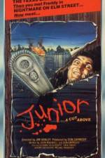 Watch A Cut Above 123movies