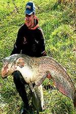 Watch Viking Expedition 123movies