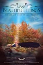 Watch Many Beautiful Things 123movies