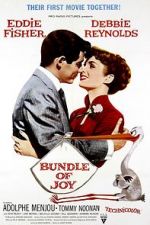 Watch Bundle of Joy 123movies