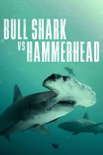 Watch Bull Shark vs Hammerhead 123movies