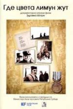 Watch Where the Yellow Lemon Blooms 123movies