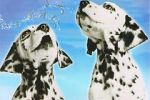 Watch 101 Dalmatians Sing Along 123movies