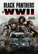 Watch Black Panthers of WWII 123movies
