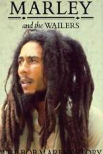 Watch Caribbean Nights 123movies