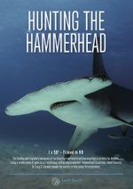 Watch Hunting the Hammerhead 123movies