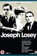 Watch The Big Night 123movies