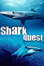 Watch Shark Quest 123movies