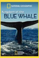 Watch National Geographic Kingdom of Blue Whale 123movies