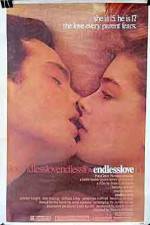 Watch Endless Love 123movies