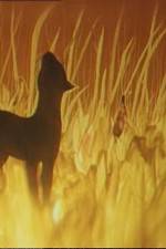 Watch The Cat Who Walked by Herself 123movies