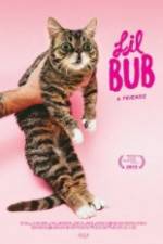 Watch Lil Bub & Friendz 123movies