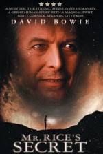 Watch Mr. Rice's Secret 123movies