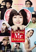 Watch Finding Mr. Destiny 123movies