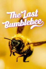 Watch The Last Bumblebee 123movies