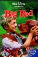 Watch Big Red 123movies