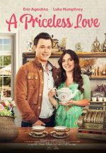Watch A Priceless Love 123movies