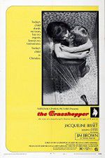 Watch The Grasshopper 123movies