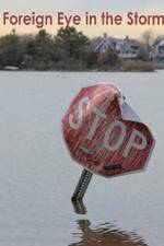 Watch Foreign Eye in the Storm 123movies