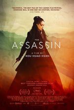 Watch The Assassin 123movies