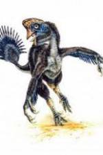 Watch National Geographic Wild : Evolutions Last Living Dinosaur 123movies