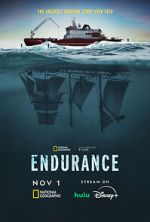 Watch Endurance 123movies