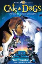 Watch Cats & Dogs 123movies