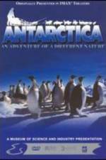 Watch Antarctica 123movies