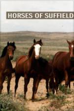 Watch Horses of Suffield 123movies