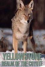 Watch Yellowstone: Realm of the Coyote 123movies