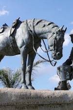 Watch War Horse: The Real Story 123movies