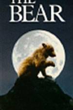 Watch The Bear - (L'ours) 123movies