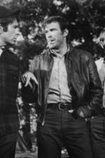 Watch The Devil's 8 123movies