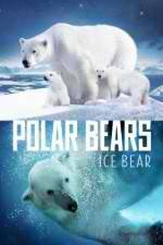 Watch Polar Bears Ice Bear 123movies