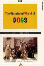Watch The Wonderful World of Dogs 123movies
