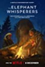 Watch The Elephant Whisperers 123movies