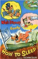 Watch How to Sleep 123movies