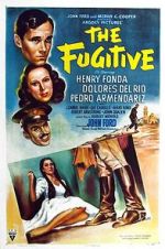 Watch The Fugitive 123movies