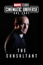 Watch Marvel One-Shot: The Consultant 123movies